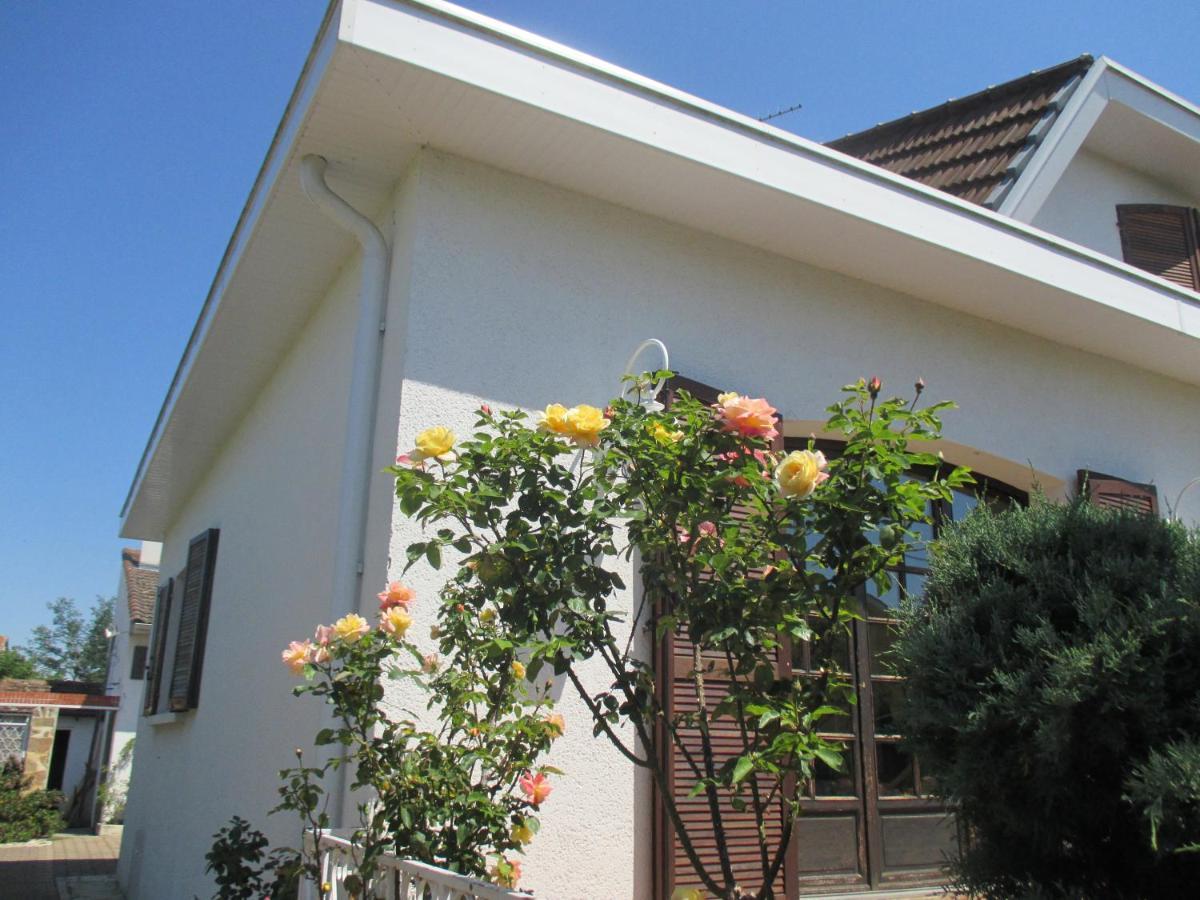 Les Roses De Rita Apartment Boisset-les-Montrond Bagian luar foto