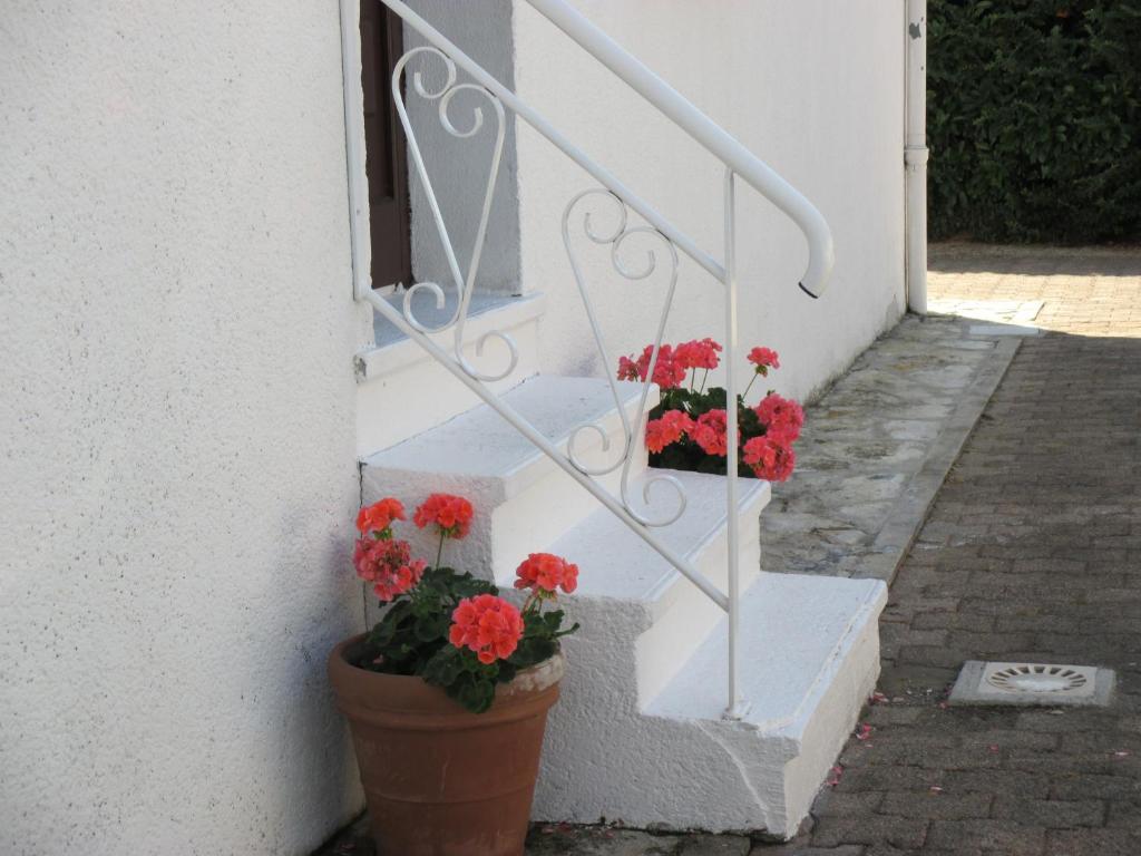 Les Roses De Rita Apartment Boisset-les-Montrond Bagian luar foto